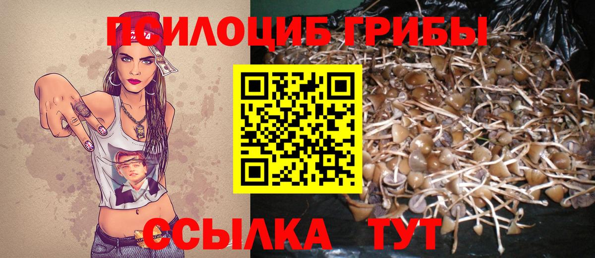 Галлюциногенные грибы Psilocybe  Галлюциногенные грибы Cubensis  Вход с VPN  Волжский 